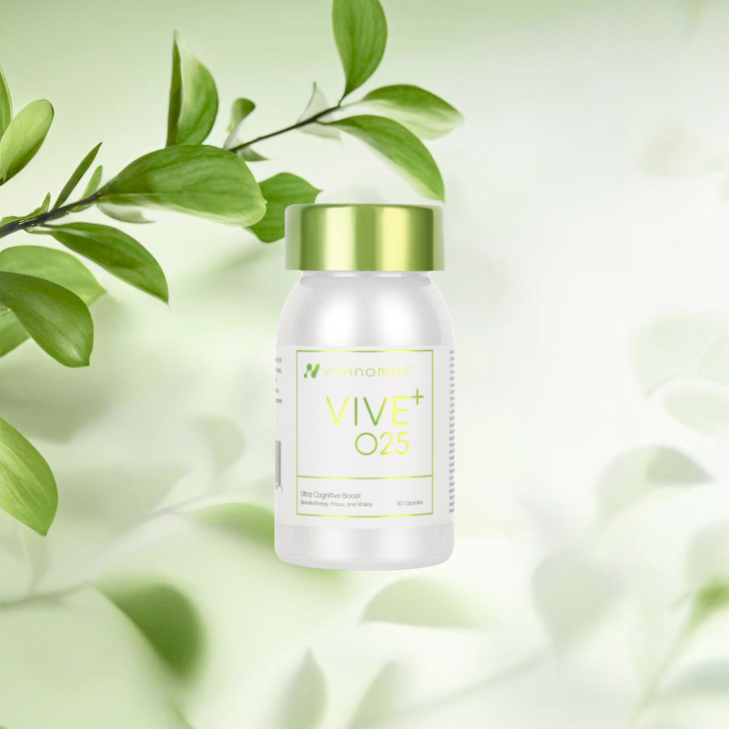 Vive+ O25